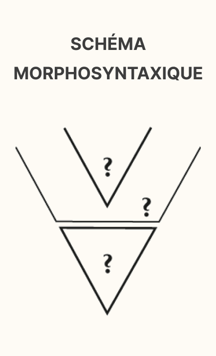 schema morphosyntaxique